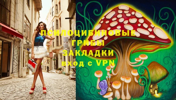 шишки Семёнов